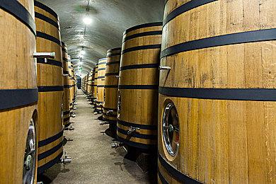 《光环：无限》多人技术测试疑似泄露吃鸡玩法